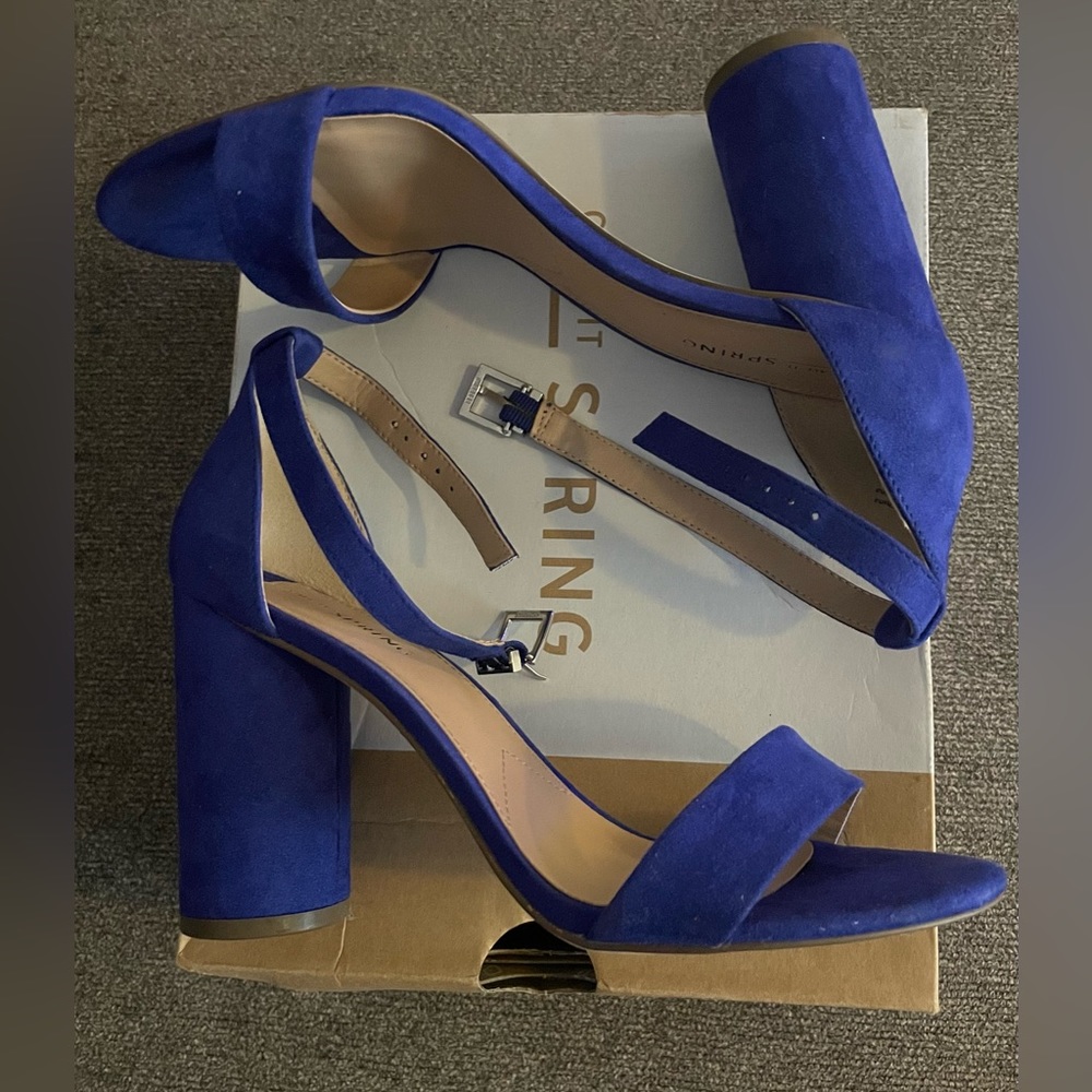 Women’s ankle strap Chunky heels